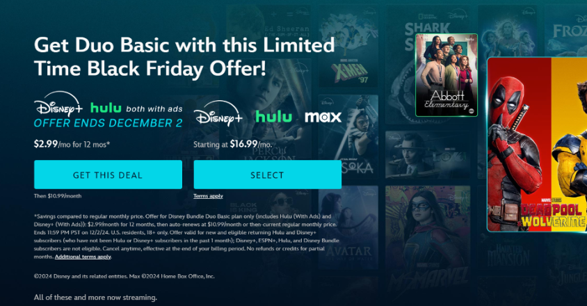 Disney Plus Black Friday Deal Page