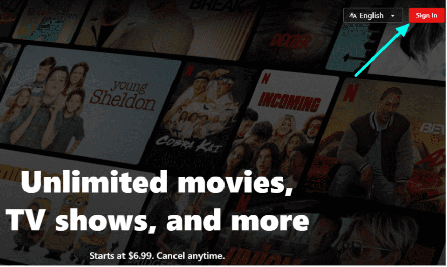 Sign In To Your Netflix Account
