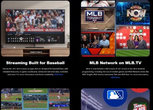 Open MLB.TV application Open MLB.TV application
